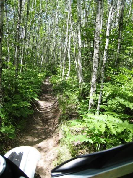 IMG_1386.jpg