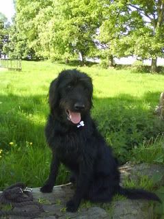 DSC00194.jpg?t=1257078432