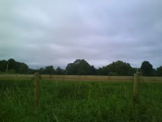 DSC01172.jpg?t=125165619