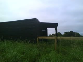 DSC01173.jpg?t=1251656155