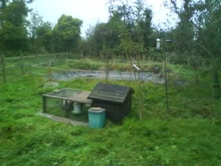 DSC01217.jpg?t=1253307703