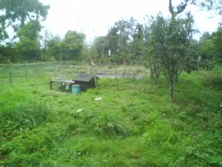 DSC01223.jpg?t=1253307843