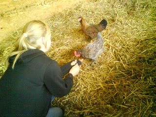 DSC01298.jpg?t=1256498724