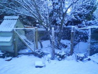 DSC01569.jpg?t=1261410774