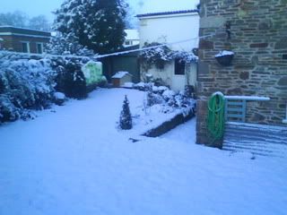 DSC01570.jpg?t=1261410795