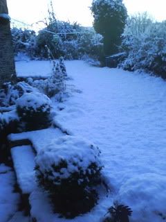 DSC01579.jpg?t=1261410847