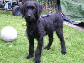 DSCN1768-1.jpg?t=1257078452