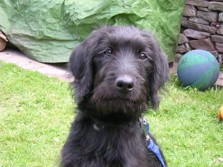 DSCN1771.jpg?t=1254999208