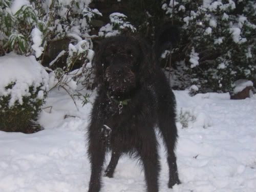 DSCN2176.jpg?t=1262784876