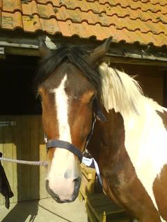 Johnny.jpg?t=1245319881