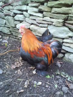 SunnyDay009.jpg?t=1246614363