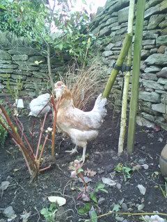 SunnyDay010.jpg?t=1242042885