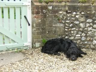 harrypics3-1.jpg?t=1257078390