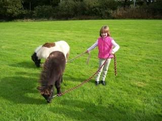 ponies.jpg?t=1241814927