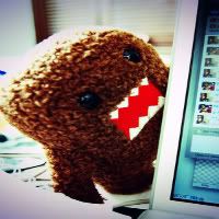 domo Pictures, Images and Photos