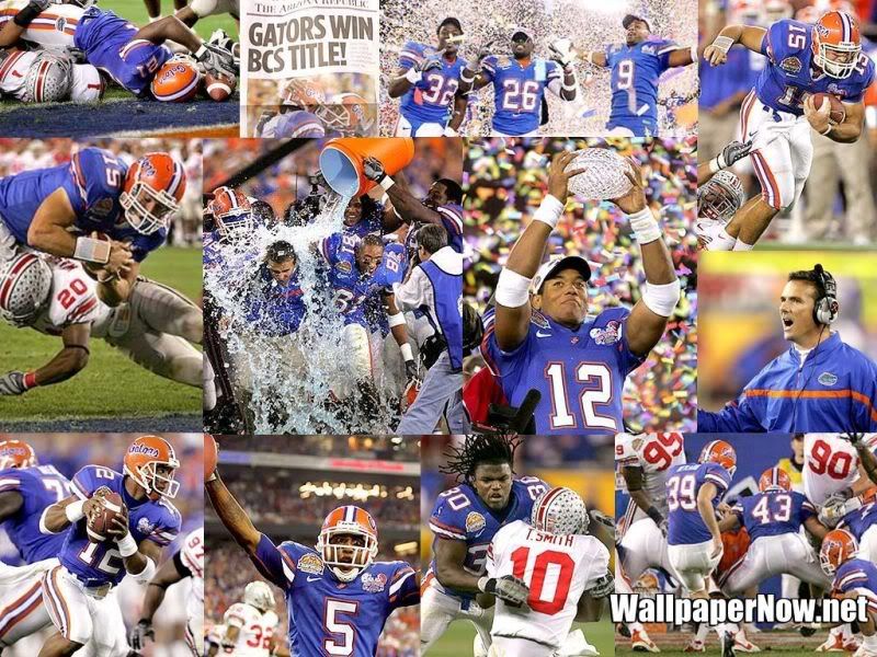 Florida gator desktop wallpapers
