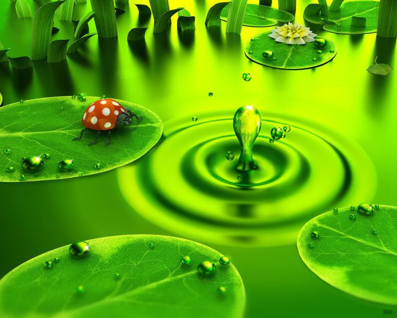 Wallpapers-room_com___Green_dawn_by.jpg