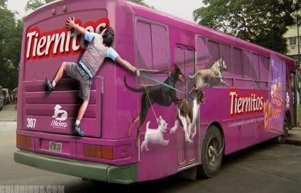 bus_adv_15.jpg