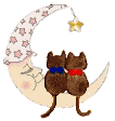 chat_lune.gif