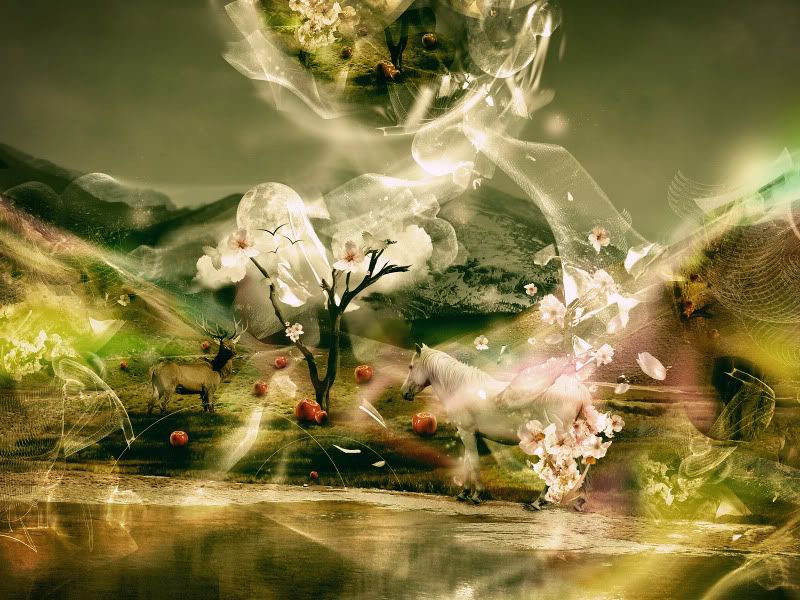 Desktopography_012.jpg