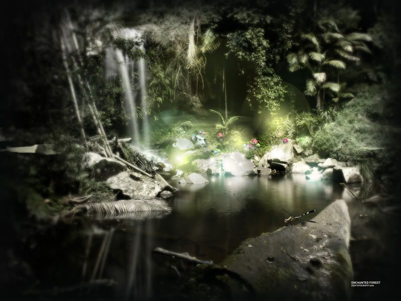 Desktopography_048.jpg