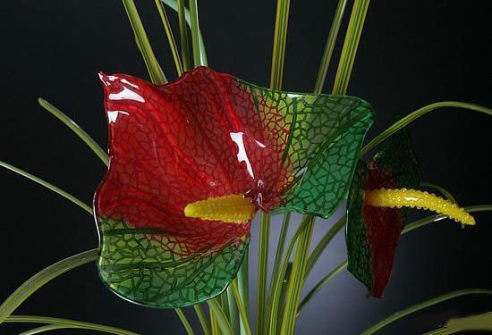 lucidvisionglassart31si.jpg