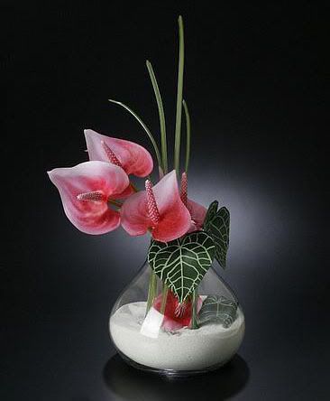 lucidvisionglassart48ss.jpg