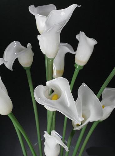 lucidvisionglassart89nu.jpg