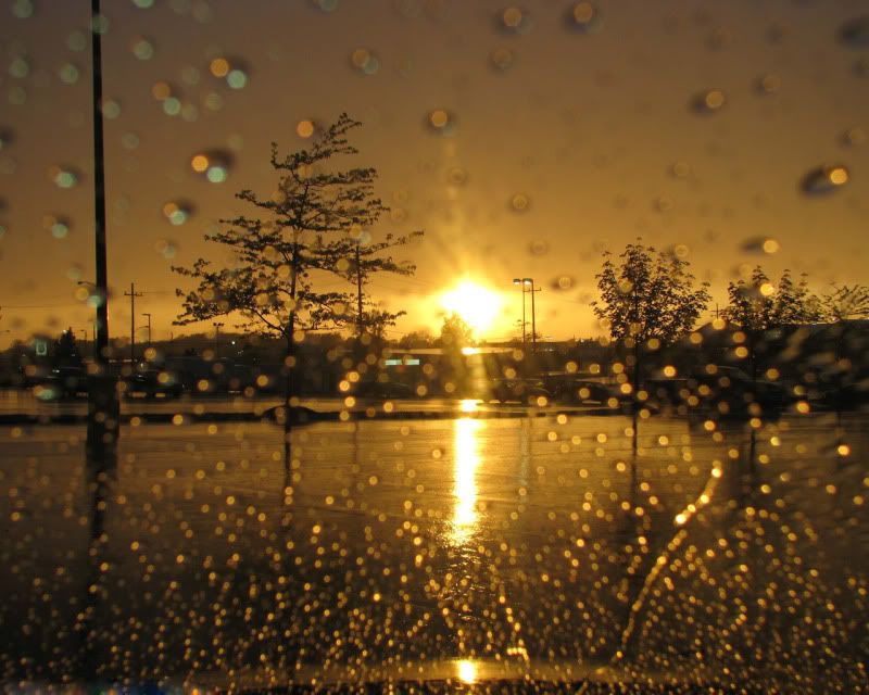 rain_collection_from_svoya.jpg