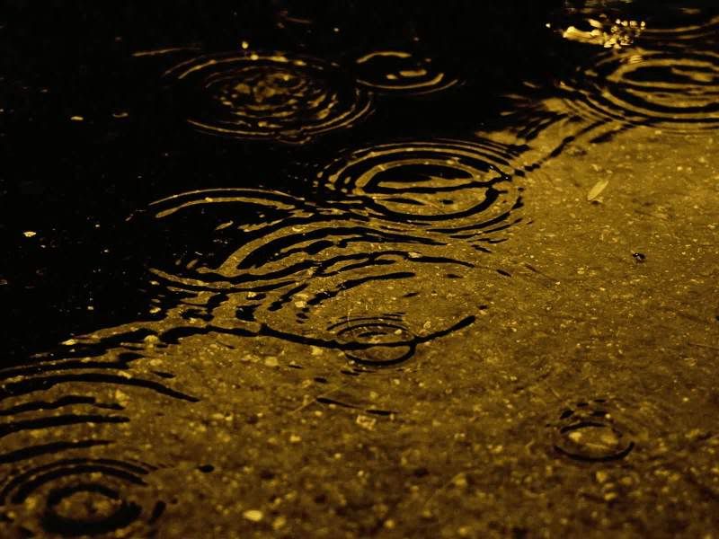 rain_collection_from_svoya11.jpg