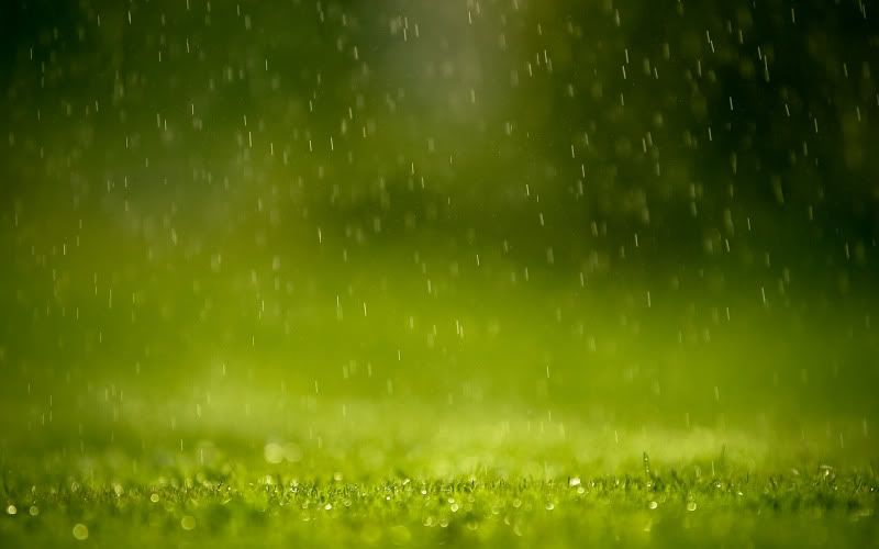 rain_collection_from_svoya12.jpg