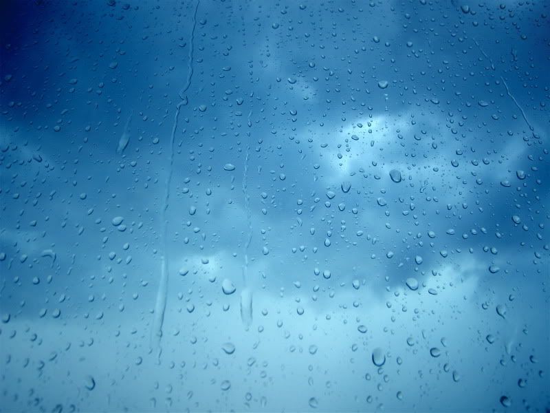 rain_collection_from_svoya13.jpg