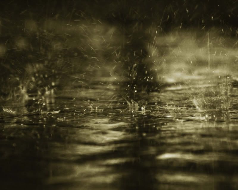 rain_collection_from_svoya15.jpg