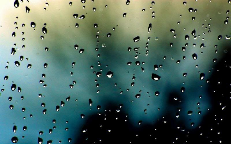 rain_collection_from_svoya16.jpg
