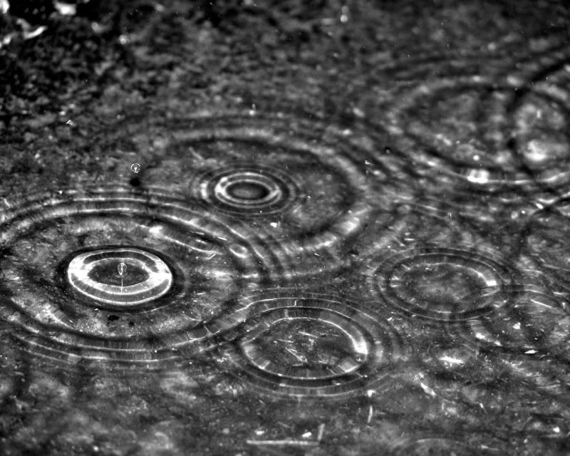 rain_collection_from_svoya17.jpg