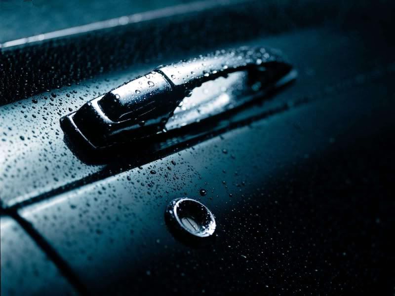 rain_collection_from_svoya19.jpg