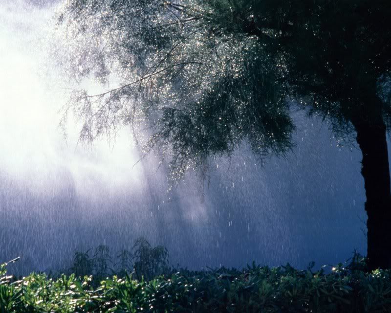 rain_collection_from_svoya2.jpg