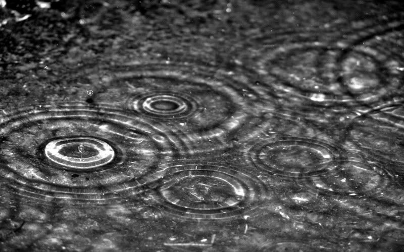 rain_collection_from_svoya3.jpg