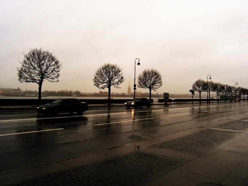 rain_collection_from_svoya4.jpg
