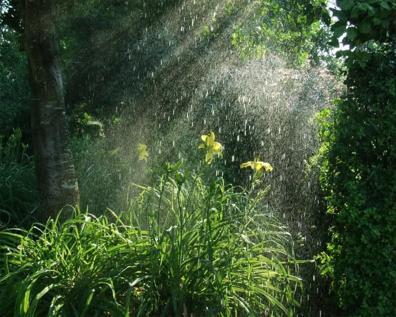rain_collection_from_svoya7.jpg