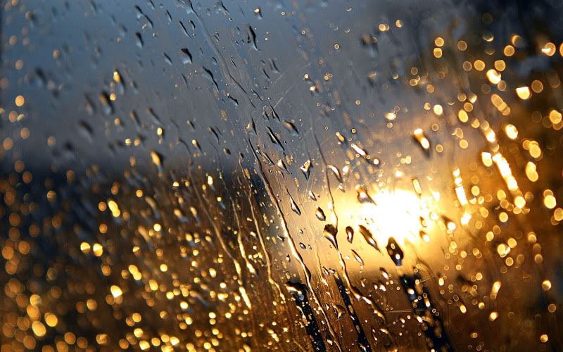 rain_collection_from_svoya9.jpg