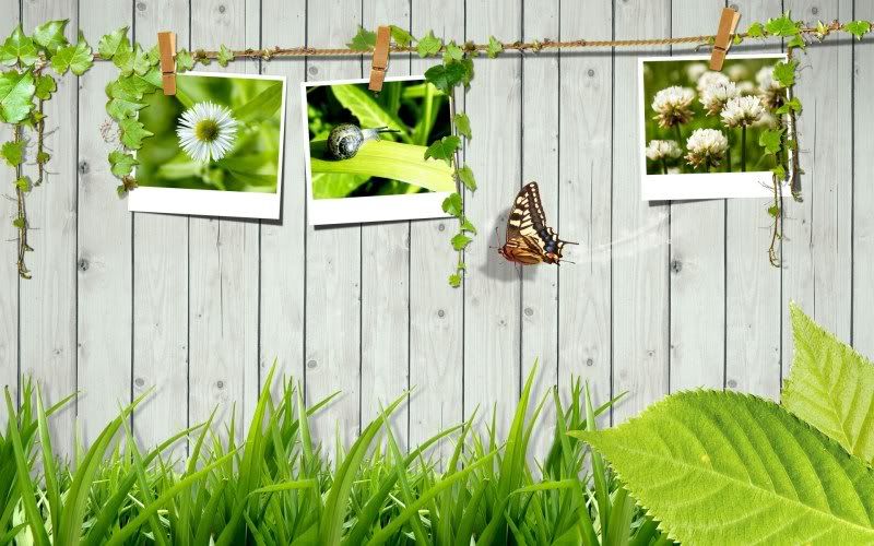 Digital_composite_spring_1019.jpg