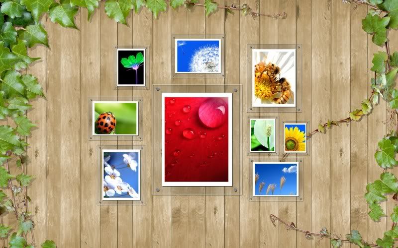 Digital_composite_spring_1020.jpg