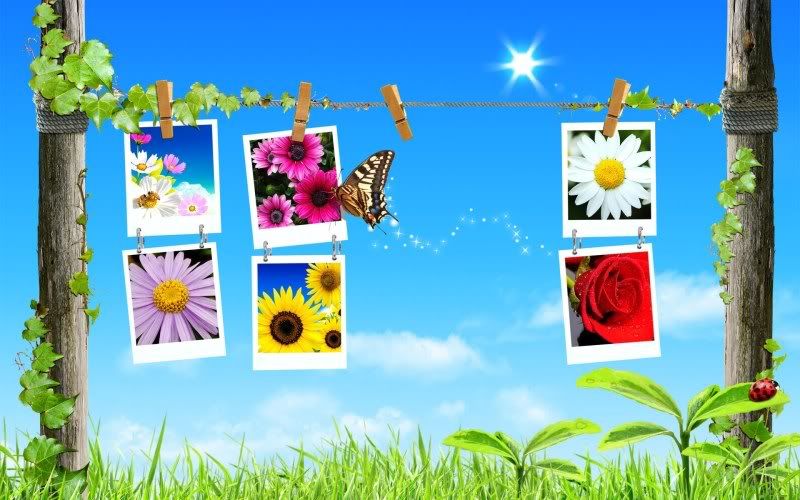 Digital_composite_spring_3005.jpg