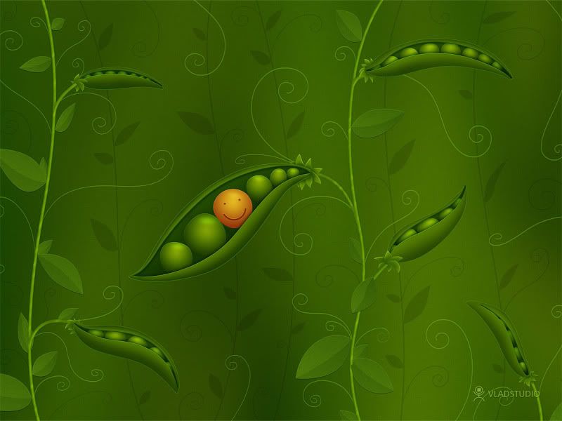 vladstudio_wheresmilesareborn_2009_.jpg
