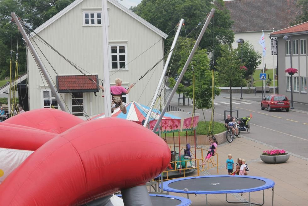 Bild