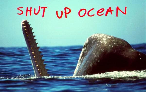 shut up ocean
