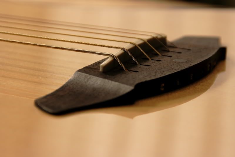 IMAGE: http://i139.photobucket.com/albums/q285/0110x011/Guitars/IMG_2705.jpg