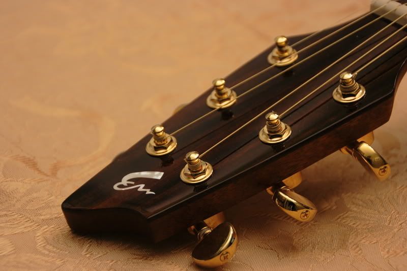 IMAGE: http://i139.photobucket.com/albums/q285/0110x011/Guitars/IMG_2718.jpg