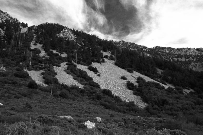 IMAGE: http://i139.photobucket.com/albums/q285/0110x011/IMG_2510BW.jpg